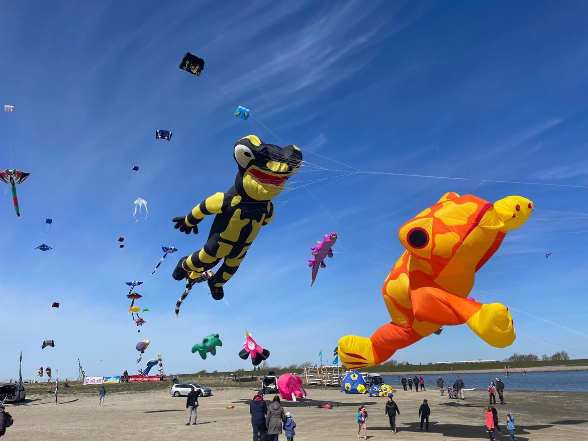 Salamander und andere Tiere als Drachen am Büsumer Himmel in der Familienlagune an Ostern